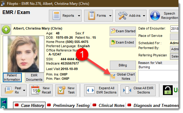 GlobalChartNotesButton
